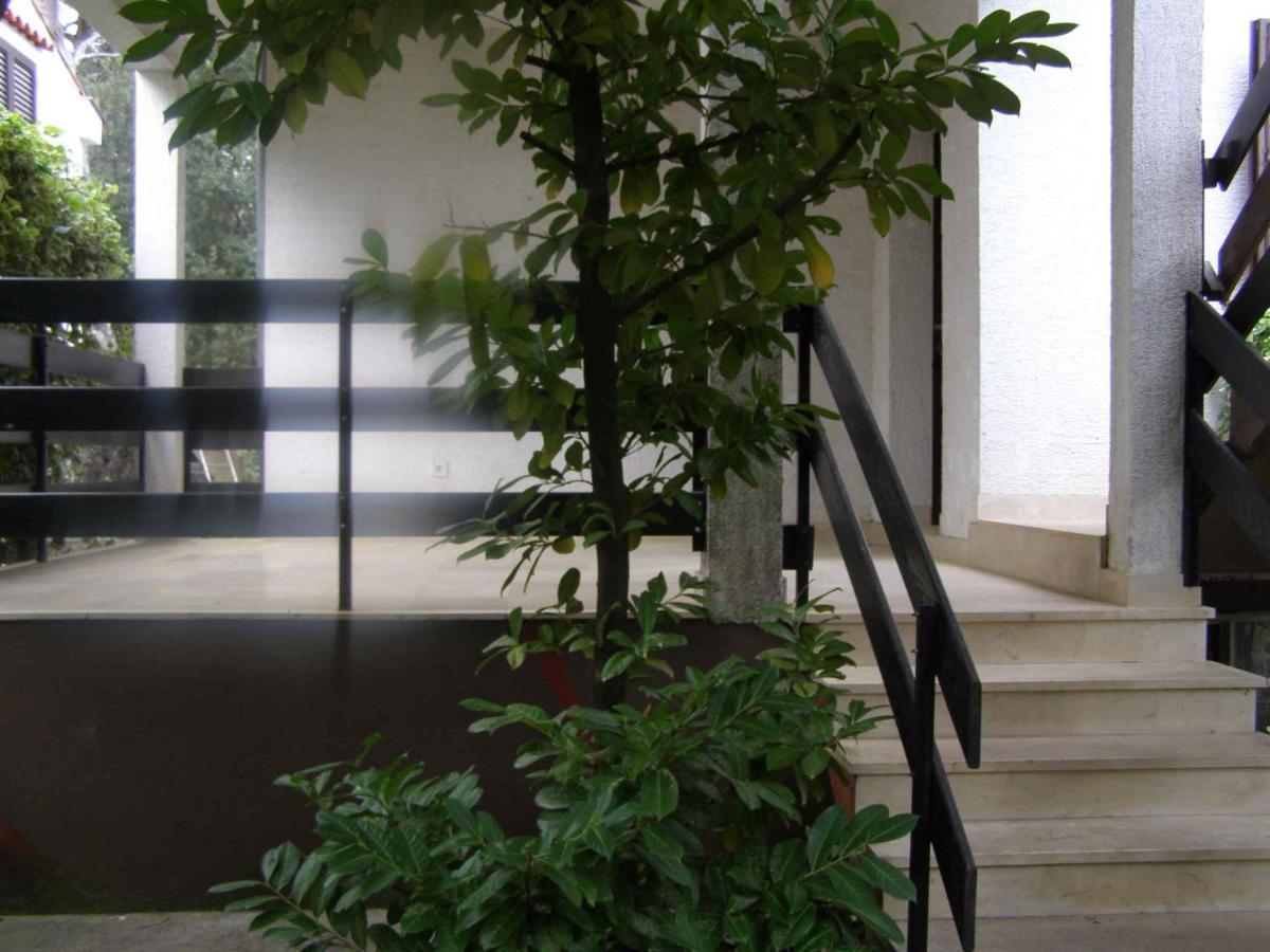 Apartment In Petrcane/Zadar Riviera 7866 Eksteriør bilde